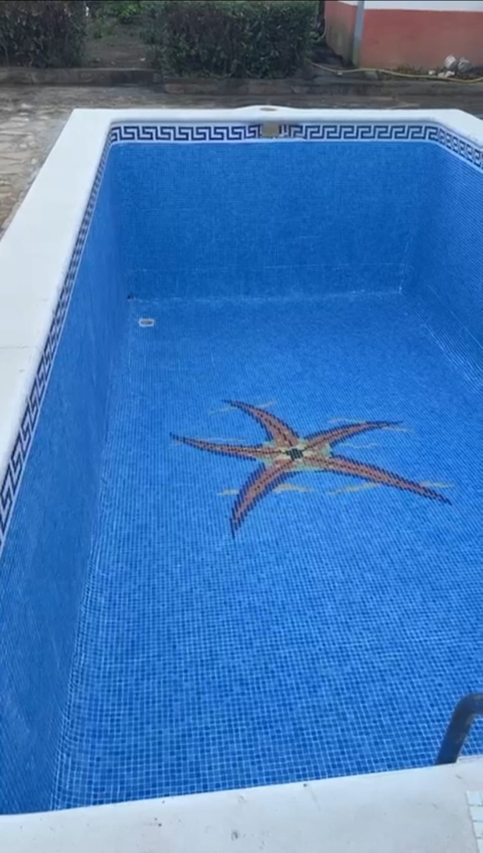 Piscina vacía tras el cambio de borada con mosaico de estrella de mar