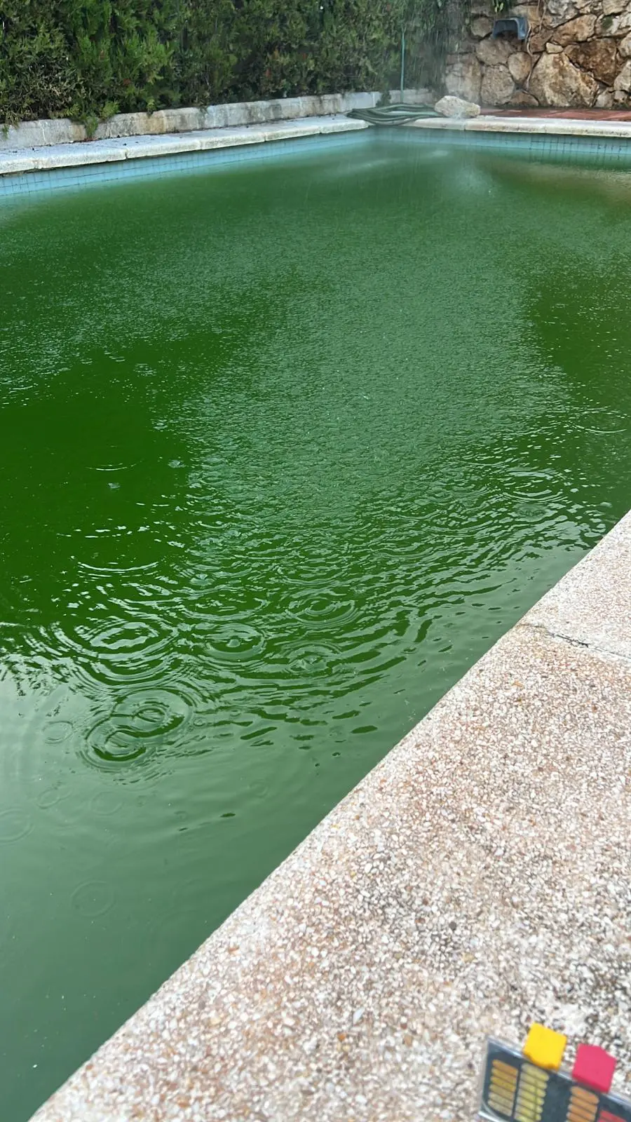 Piscina con agua verde antes del tratamiento