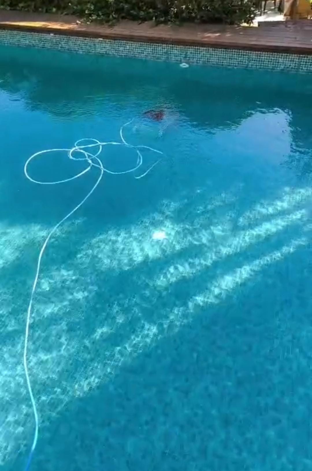 Limpieza del fondo de una piscina durante el mantenimiento