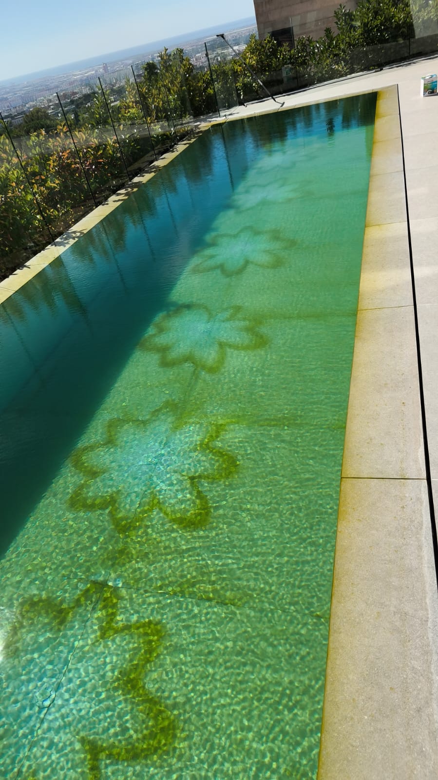 Piscina con algas antes de la puesta a punto